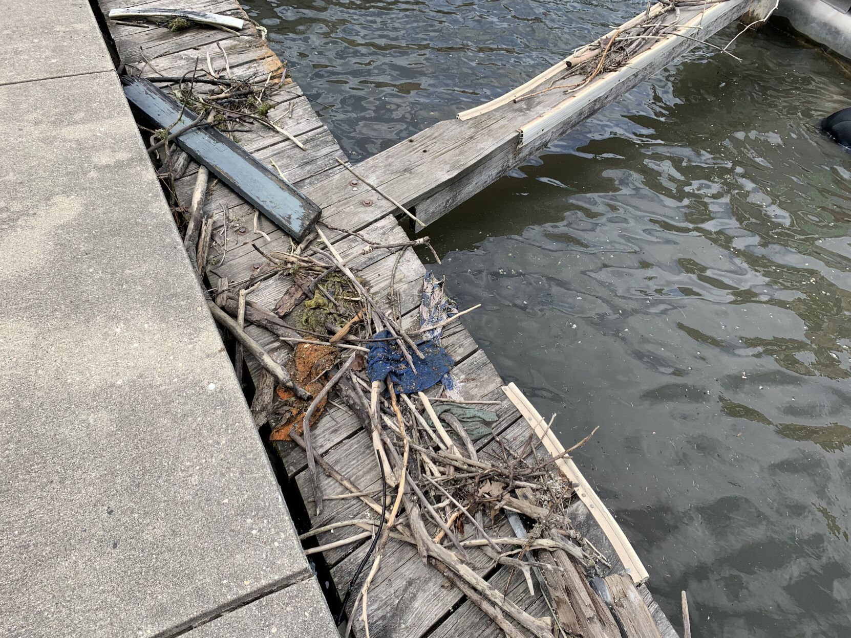 A pile of sticks removed from Lake Geneva's city lagoon